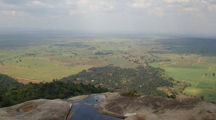  Udzungwa Forest Camp (Hondo Hondo) 