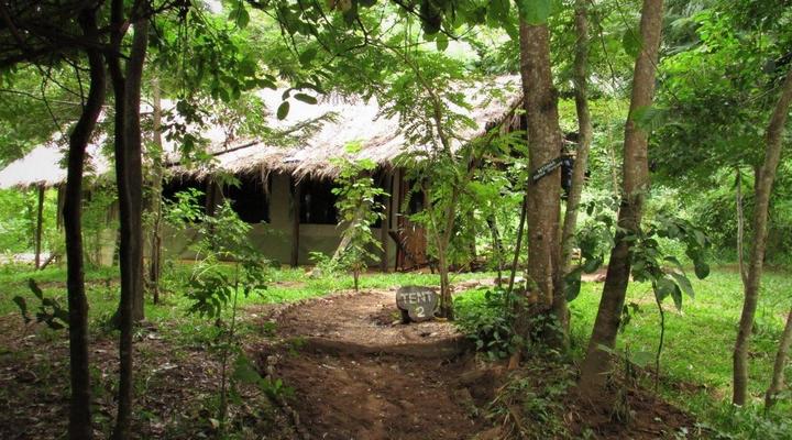  Udzungwa Forest Camp (Hondo Hondo) 