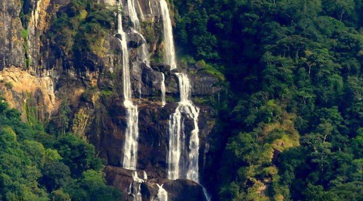  Udzungwa Forest Camp (Hondo Hondo) 