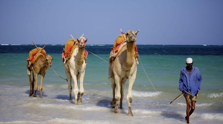 Diani Beachalets
