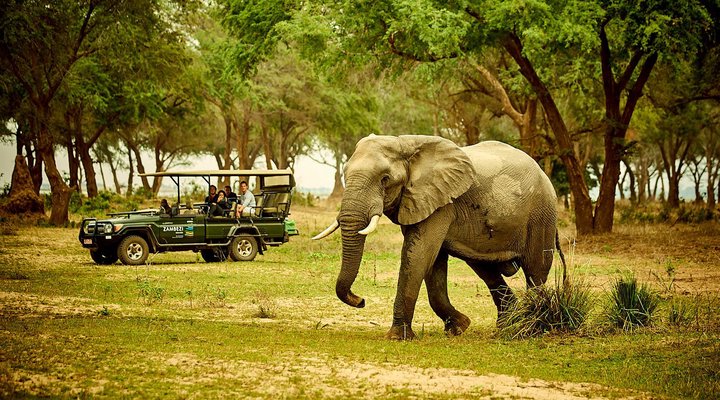 Zambezi Grande