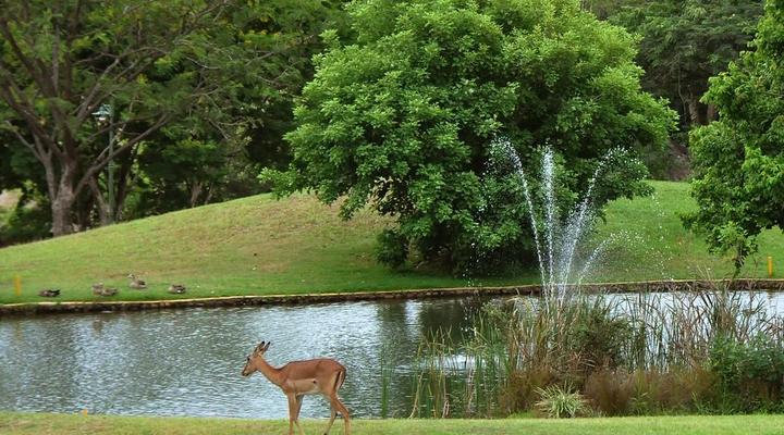 Kruger Park Lodge Unit No. 611