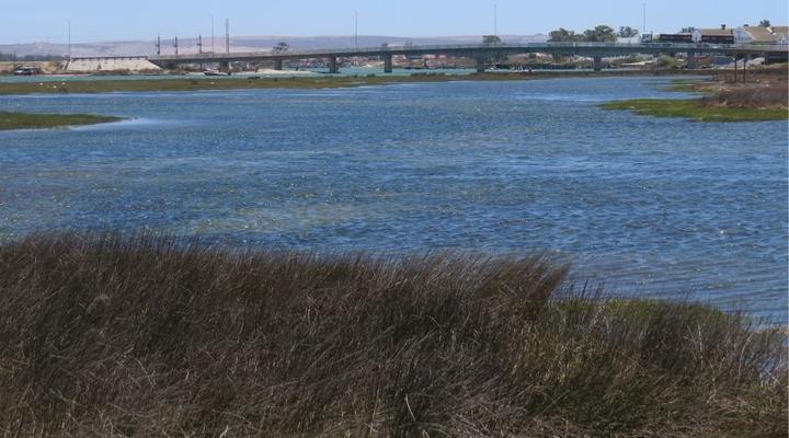 The Waterfront Guest House