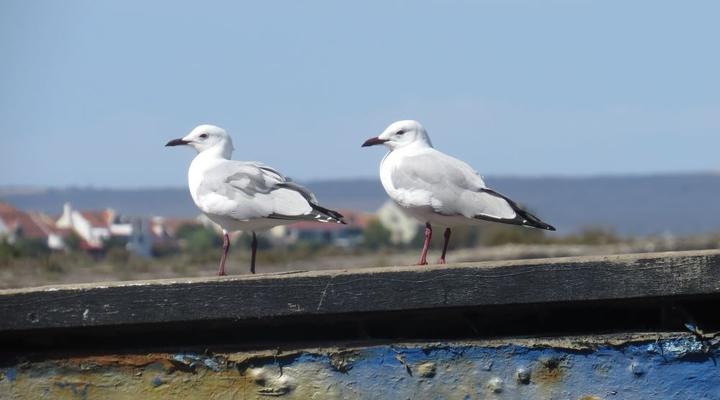 The Waterfront Guest House