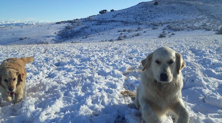 Cedarberg Guest Farm