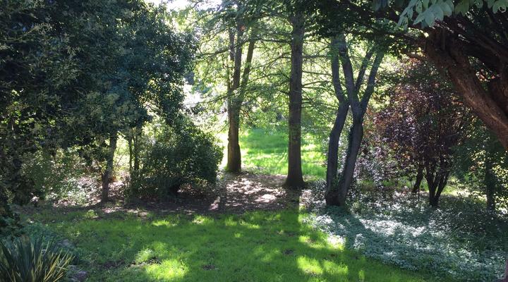 Cedarberg Guest Farm