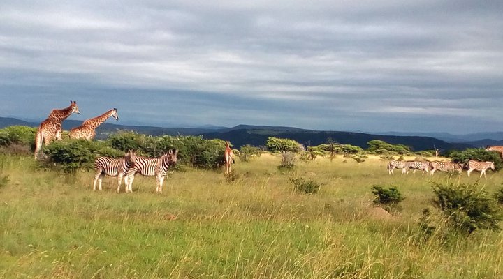Weenen Country Cottage
