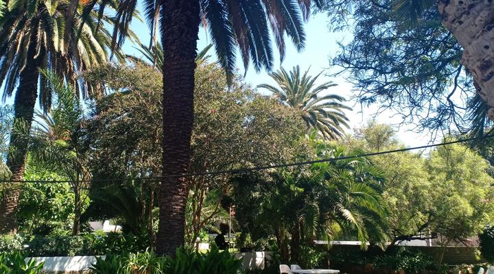 Eastgate Palms Lodge