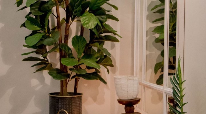 African Safari Lodge