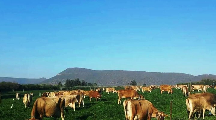 Weenen Country Cottage