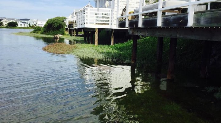 The Island View On Thesen Islands
