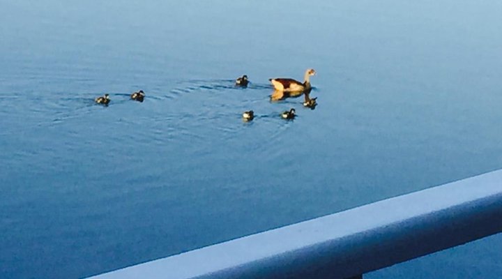 The Island View On Thesen Islands