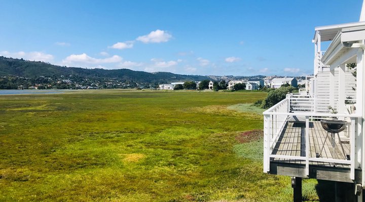 The Island View On Thesen Islands