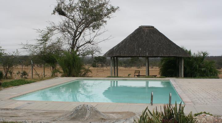 Distinctly Africa - Manyeleti