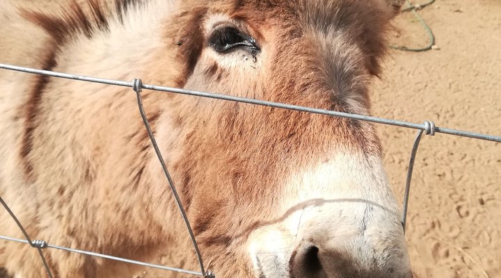 Hawkshead Guest Farm