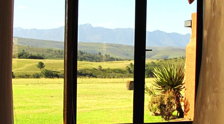 Blomberg Guest Farm