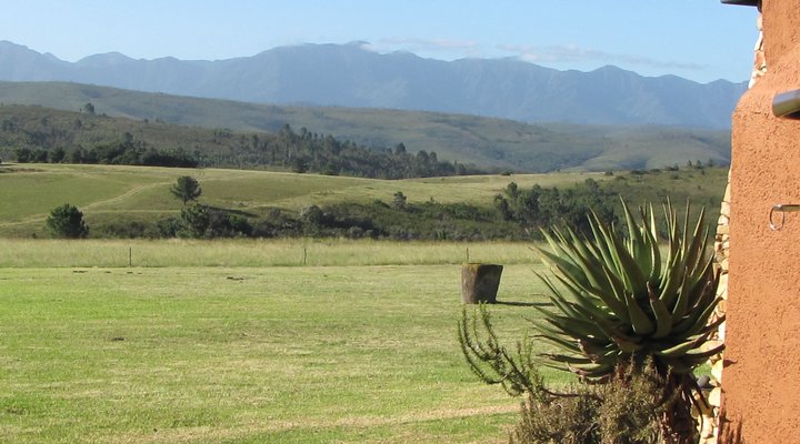Blomberg Guest Farm