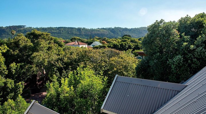 Avemore at Sedgefield