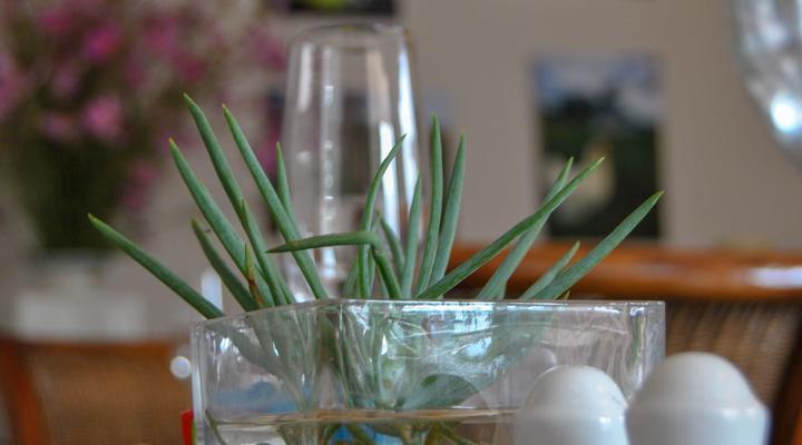 Hamilton Urban Farm and Guest House