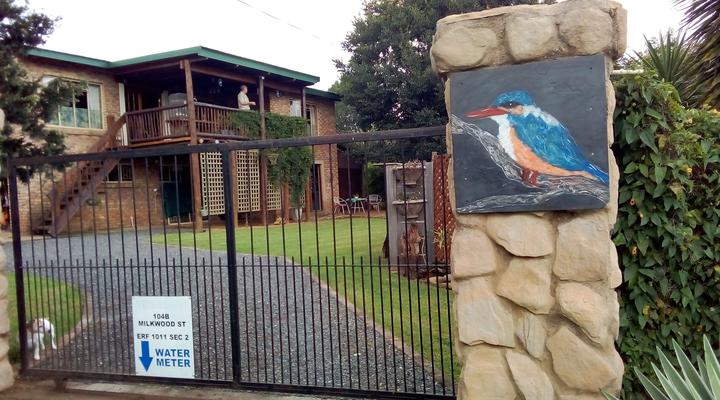 Kingfisher Blue on Milkwood