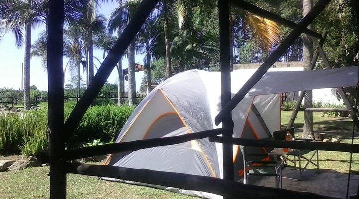 Misty Creek Guest Farm