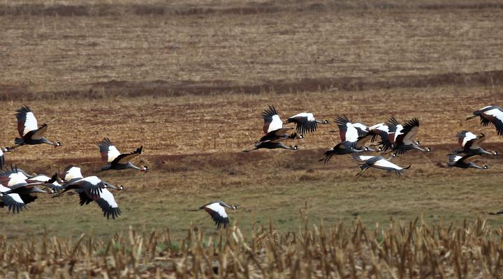 Woodcliffe Camp Site