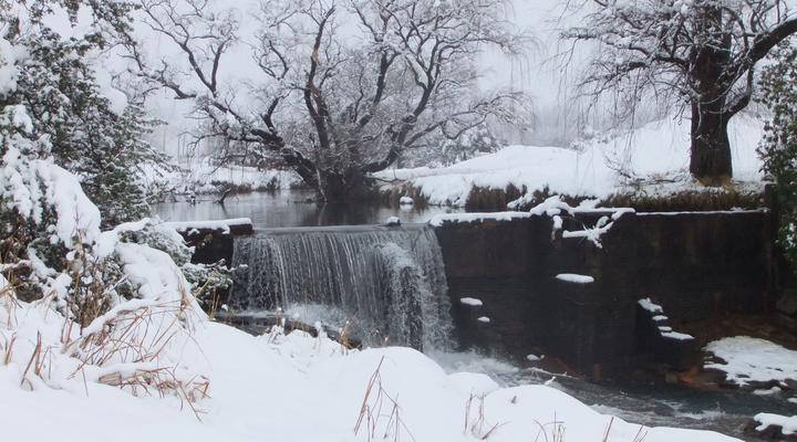 Woodcliffe Camp Site