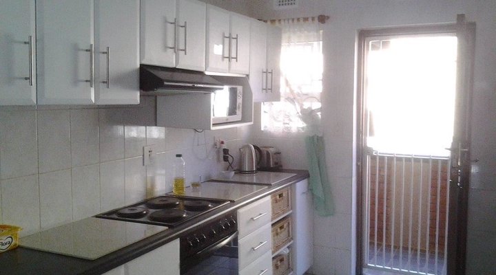 Dolphin View 205
