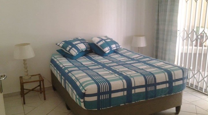 Dolphin View 205