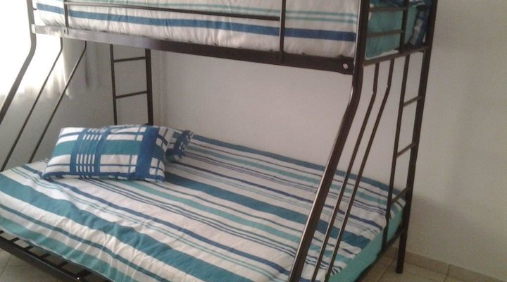 Dolphin View 205