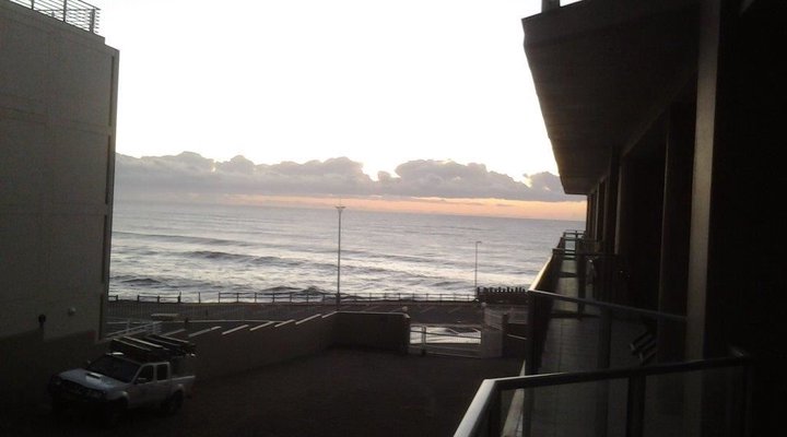 Dolphin View 205
