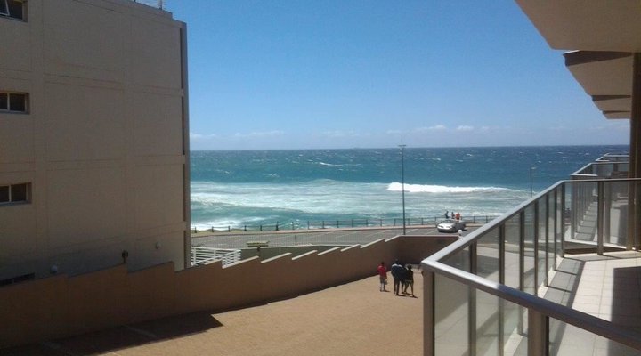Dolphin View 205