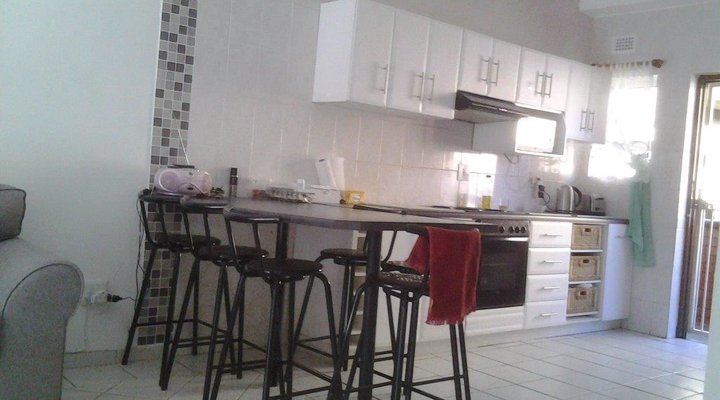 Dolphin View 205