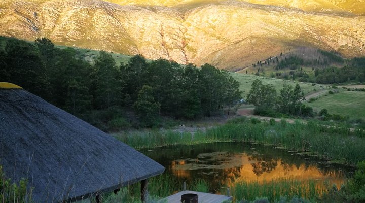 Mazwil Retreat