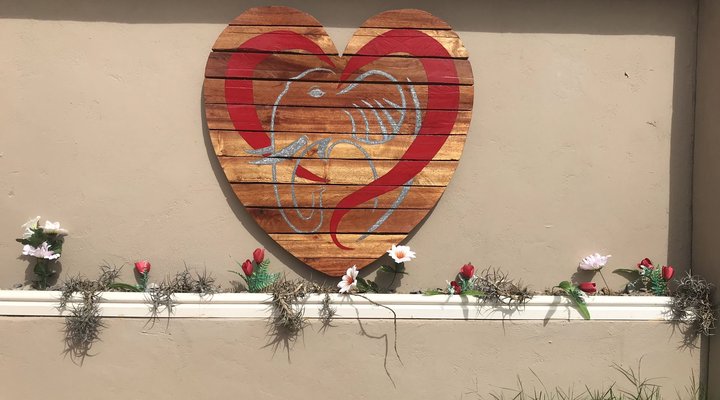 Elephant's Heart Self-Catering Apartments