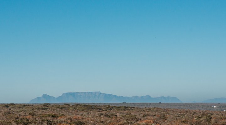 Voir la Mer - Ocean View