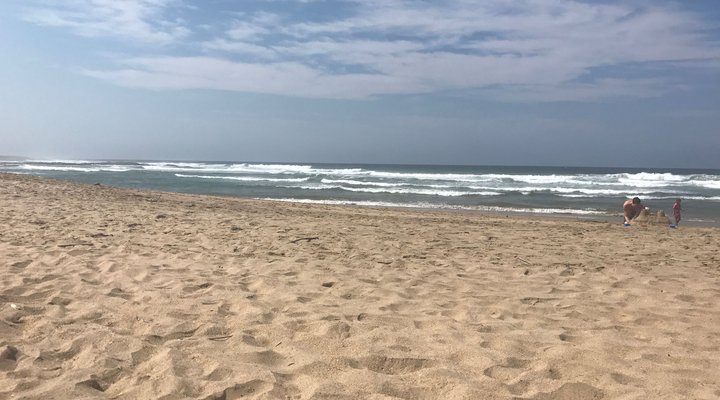 The Shores No. 6