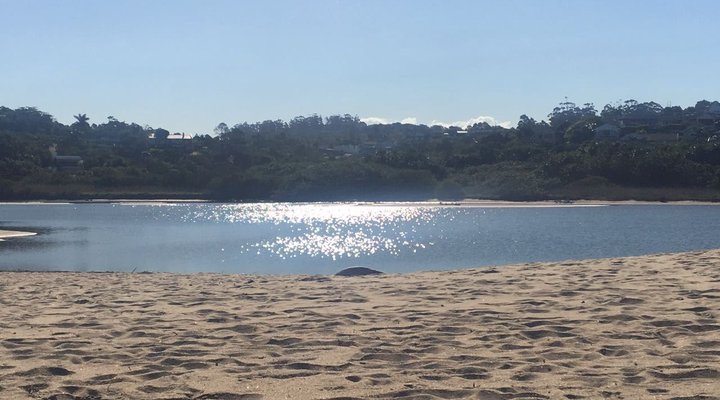 The Shores No. 6