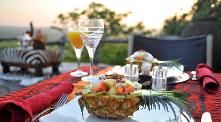 Wild and Free Game Lodge