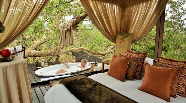 Wild and Free Game Lodge