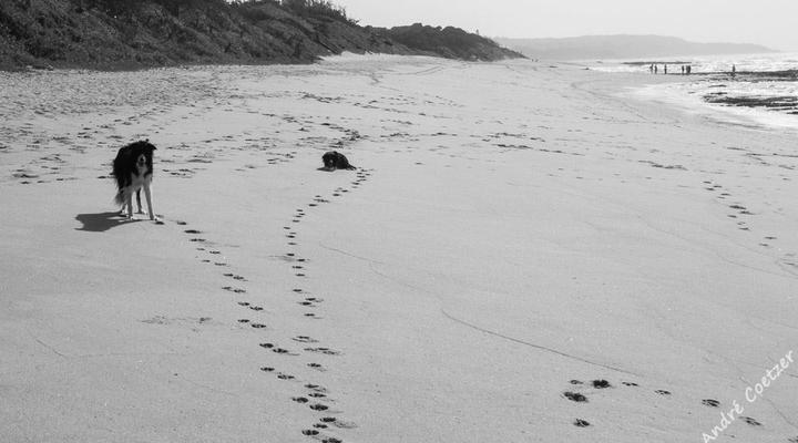 Cecelia's Holiday Manor