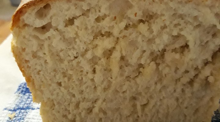 Bakinumpelis Nuwerus