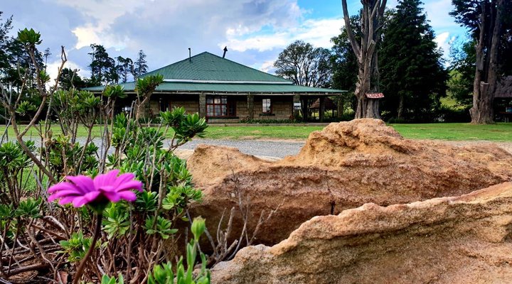 The Phatt Chef Road Side Diner and Bed & Breakfast