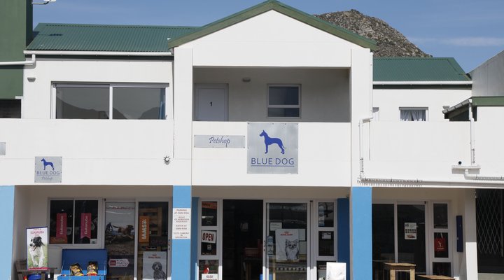 Blue Dog Accommodation