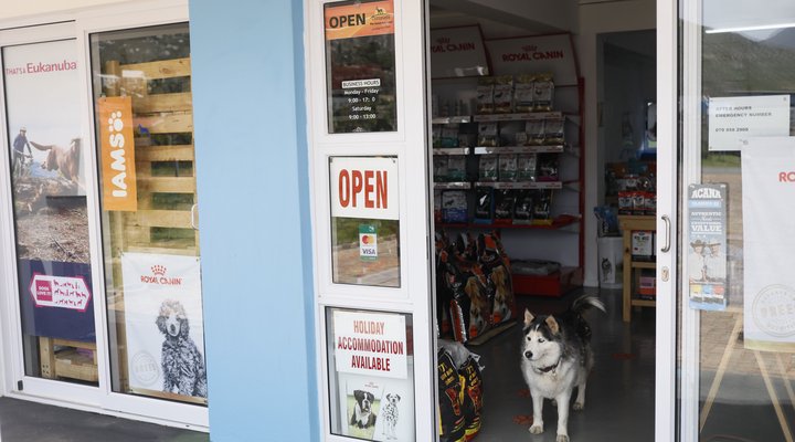 Blue Dog Accommodation