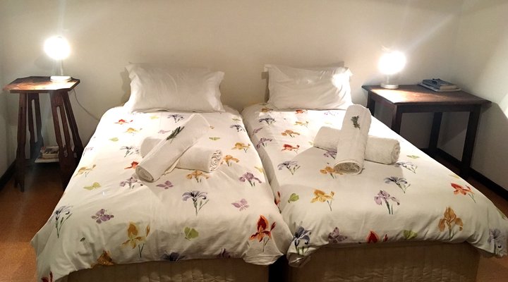 Brower Holiday House