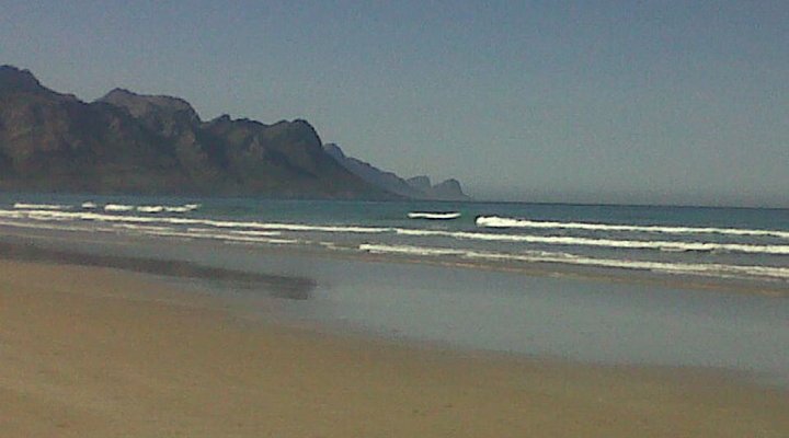 Hibernian Towers 313