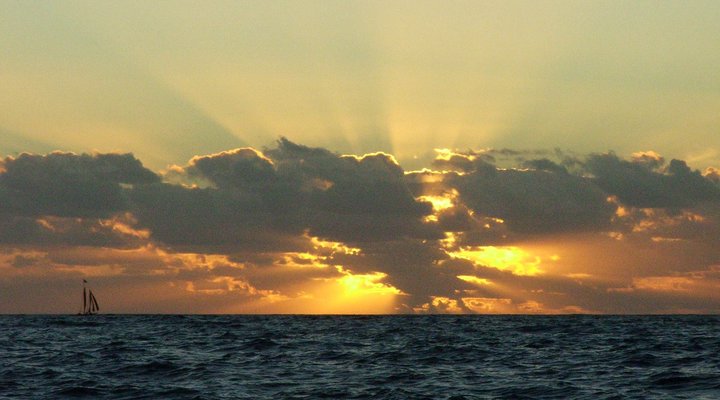 Hibernian Towers 313