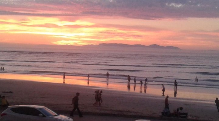 Hibernian Towers 313