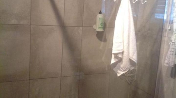 Little Willow Brooke